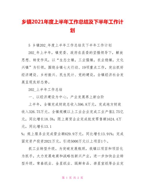 乡镇2021上半年工作总结及下半年工作计划.doc