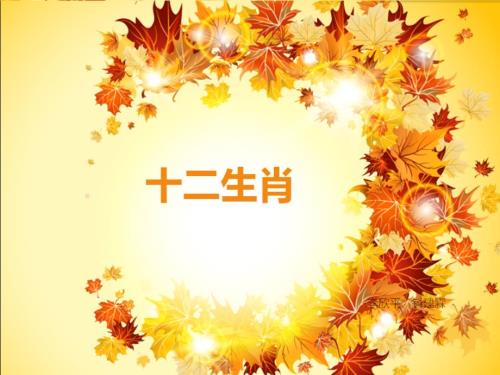 大班语言十二生肖.ppt