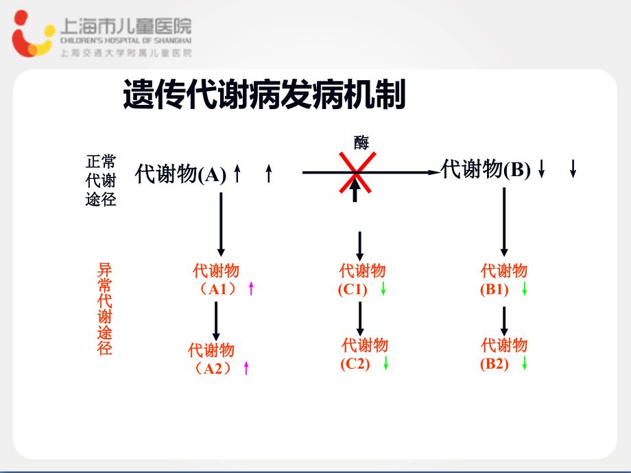 串联质谱技术新生儿遗传代谢病筛查ppt课件.ppt_第3页