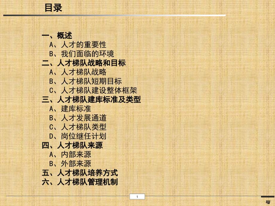 公司的人才梯队建设方案.ppt_第2页