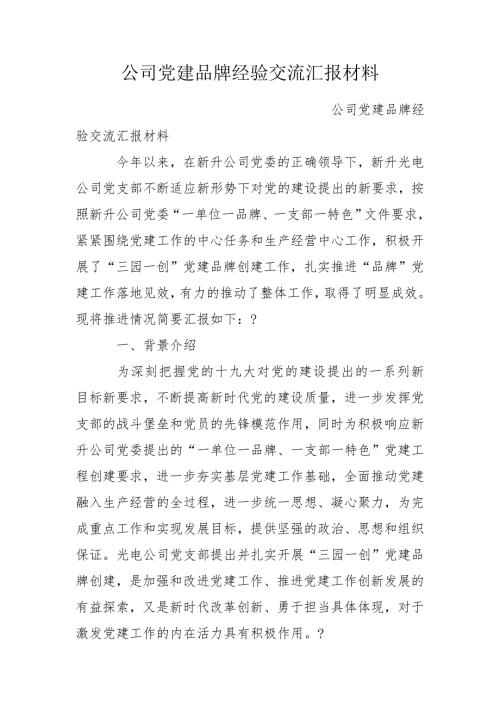 公司党建品牌经验交流汇报材料.doc