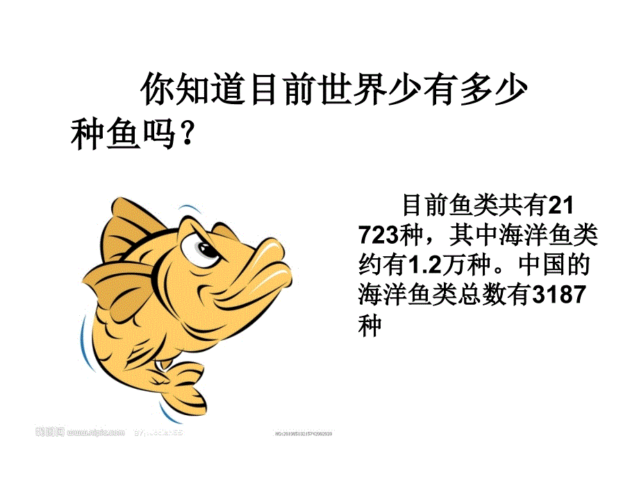 各种各样的鱼PPT课件.ppt_第2页