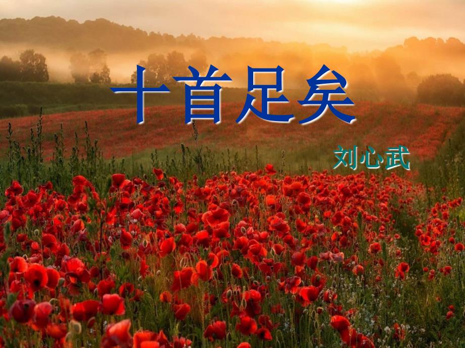 十首足矣最新课件.ppt_第2页