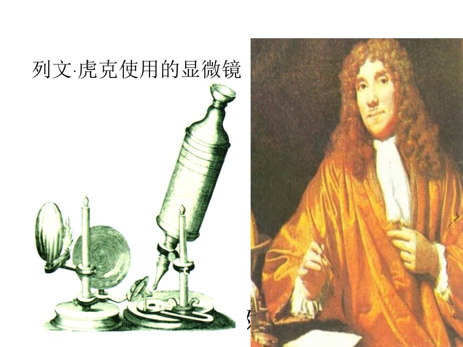 初中生物细菌课件PPT课件.ppt_第3页