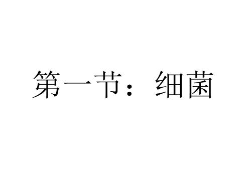 初中生物细菌课件PPT课件.ppt