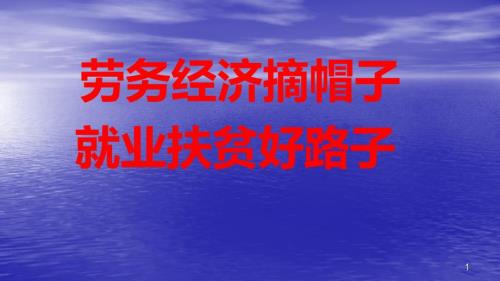 劳务经纪人培训ppt课件.pptx