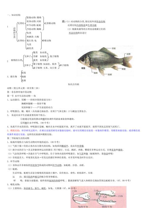 人教版八年级生物上册知识点总结全面.doc