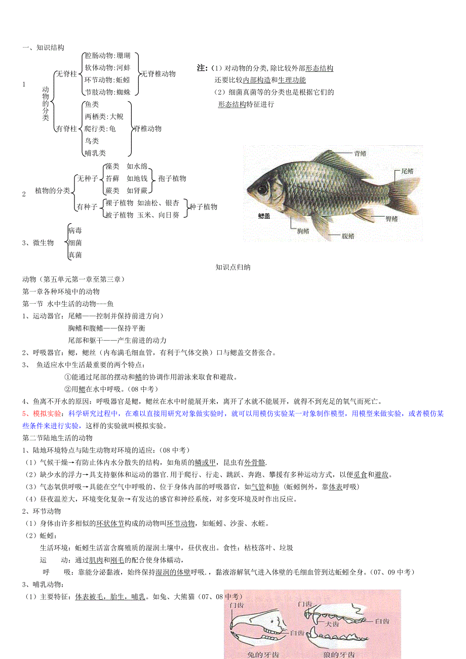 人教版八年级生物上册知识点总结全面.doc_第1页