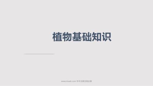 农业基础知识PPT课件.pptx