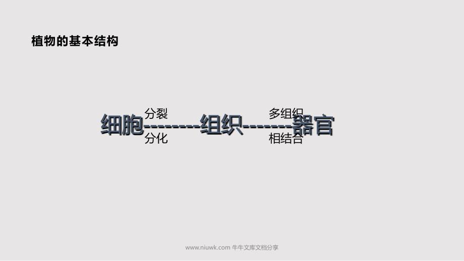 农业基础知识PPT课件.pptx_第3页