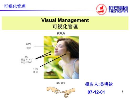 可视化管理PPT课件.ppt