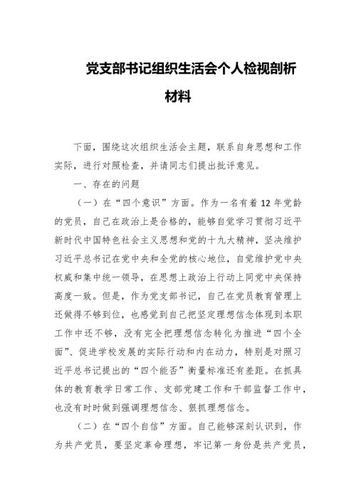 党支部书记组织生活会个人检视剖析材料.docx