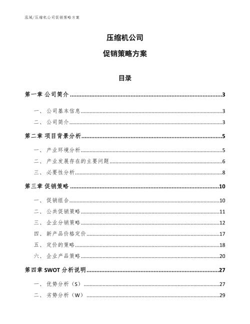 压缩机公司促销策略方案.docx