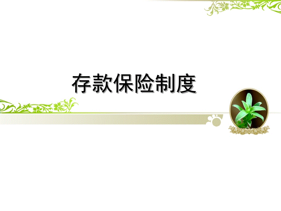 存款保险制度PPT课件.ppt_第1页