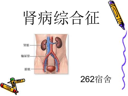 小儿肾病综合征课件.ppt