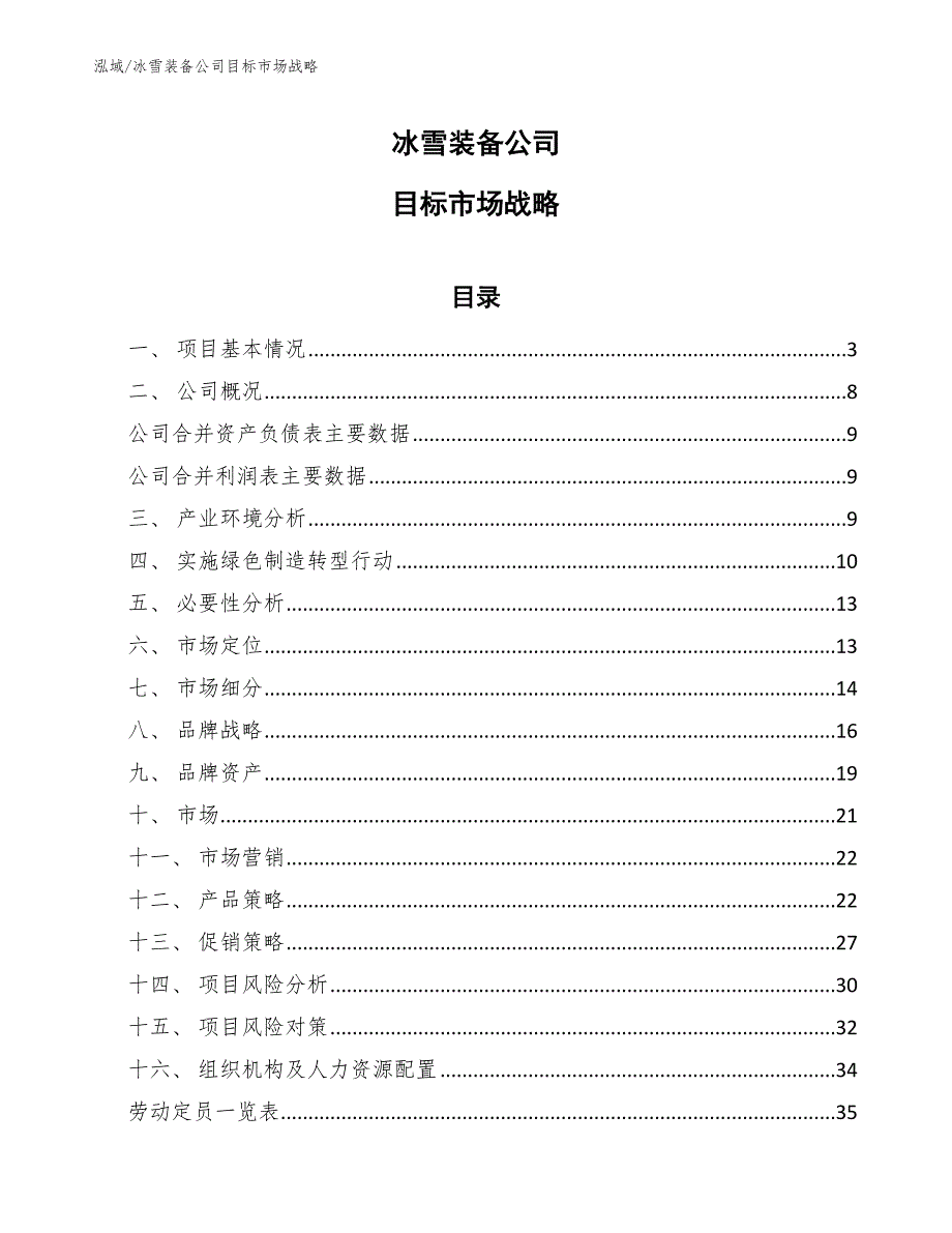 冰雪装备公司目标市场战略范文.docx_第1页