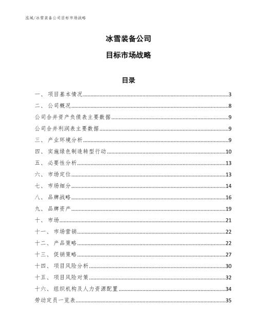 冰雪装备公司目标市场战略范文.docx