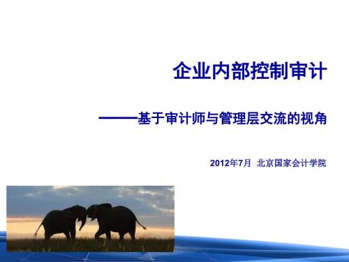 内部控制审计PPT课件.ppt