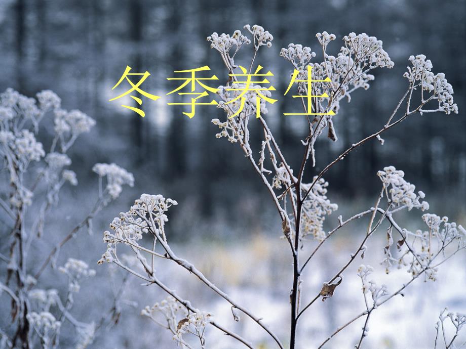 冬季养生ppt课件.ppt_第1页