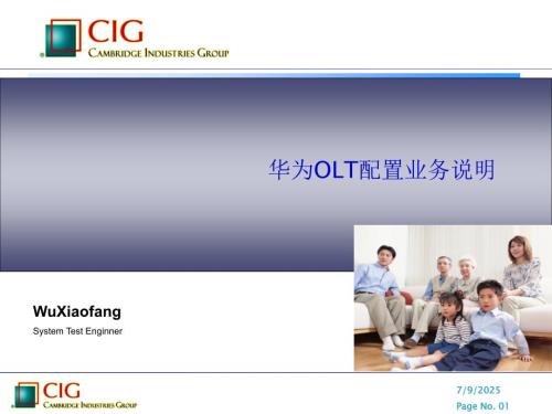 华为OLT配置说明课件.pptx