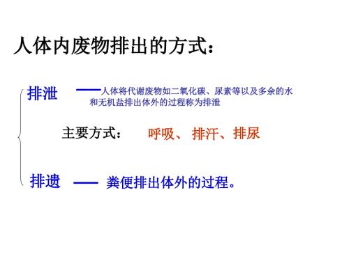 人体代谢废物的排出总复习.ppt