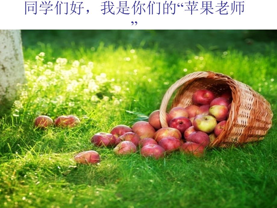 四季的景色习作.ppt_第1页