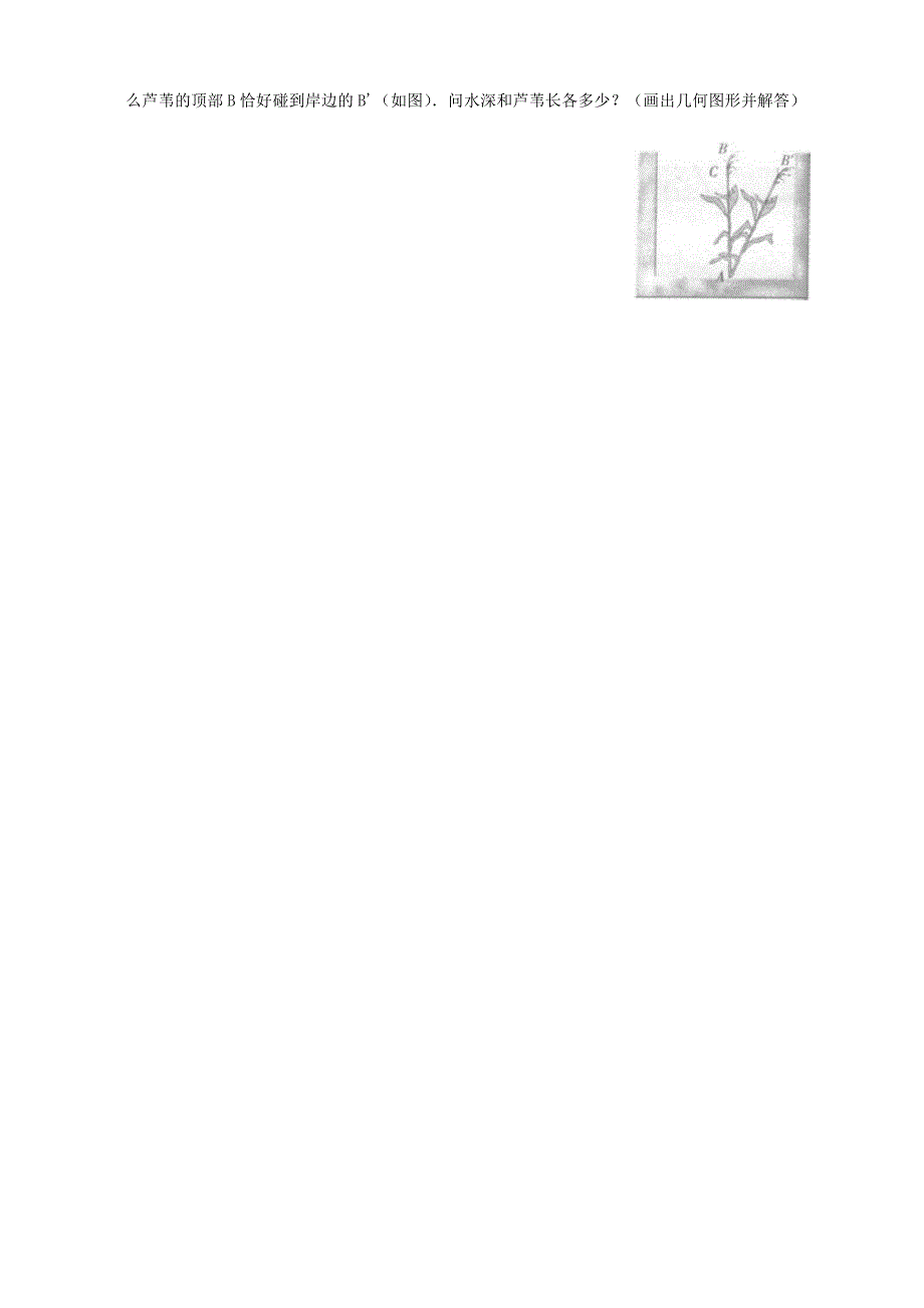 八年级数学上册易错题.doc_第2页