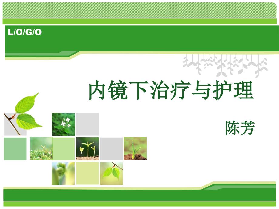 内镜下治疗与护理课件.ppt_第1页