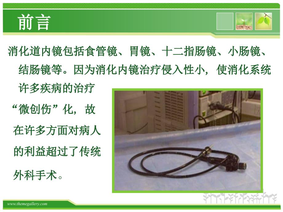 内镜下治疗与护理课件.ppt_第2页