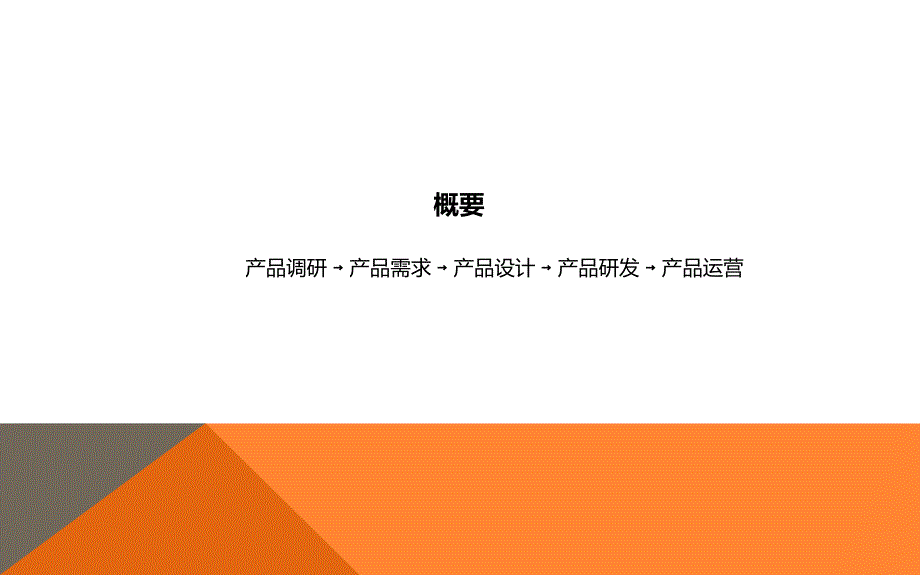 产品研发与市场推广流程.ppt_第2页