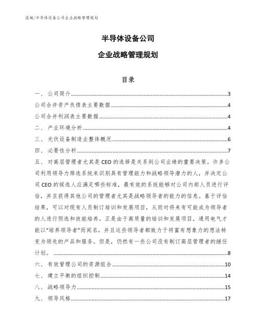 半导体设备公司企业战略管理规划.docx