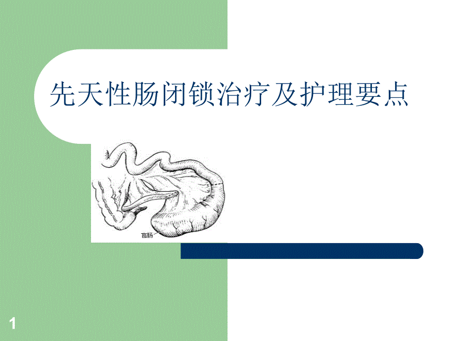 先天性肠闭锁PPT课件.ppt_第1页