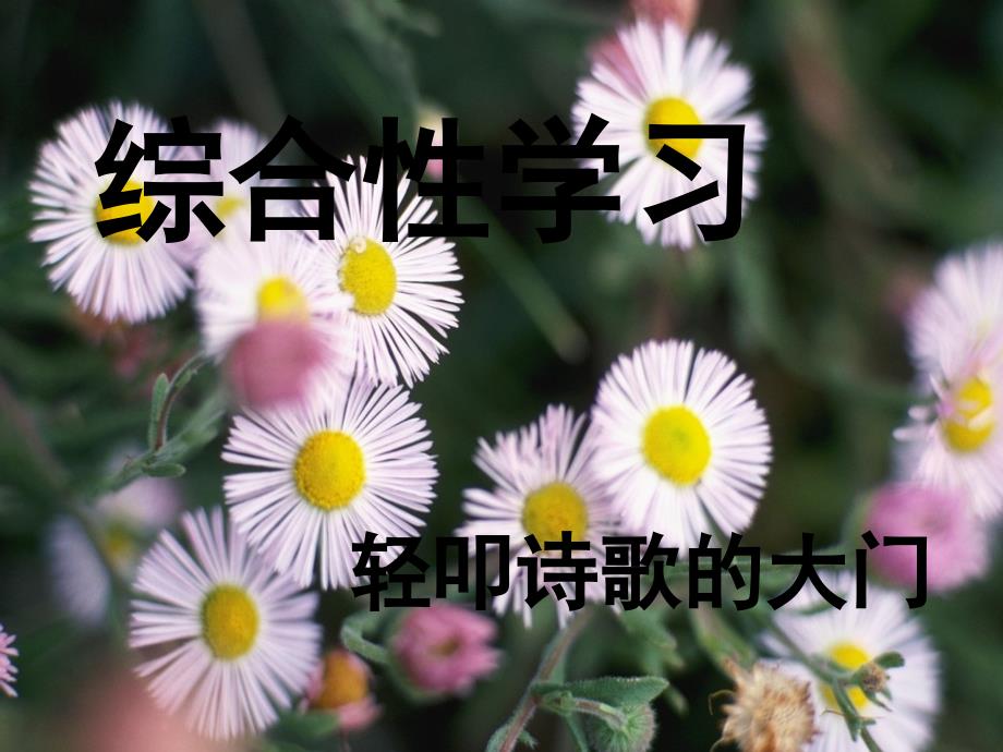 六上综合性学习诗歌的国度ppt课件.ppt_第1页