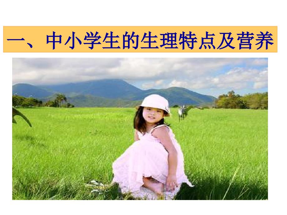 中小学生营养与健康.ppt_第3页