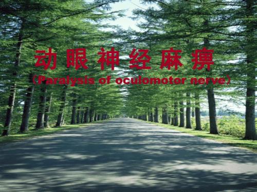 动眼神经麻痹PPT课件.ppt