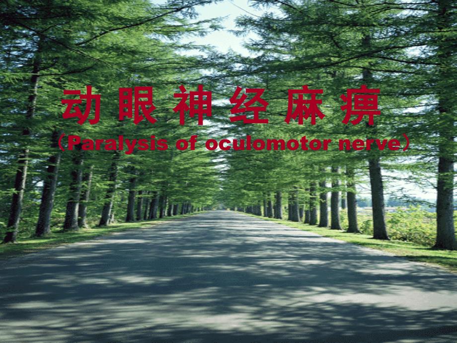 动眼神经麻痹PPT课件.ppt_第1页