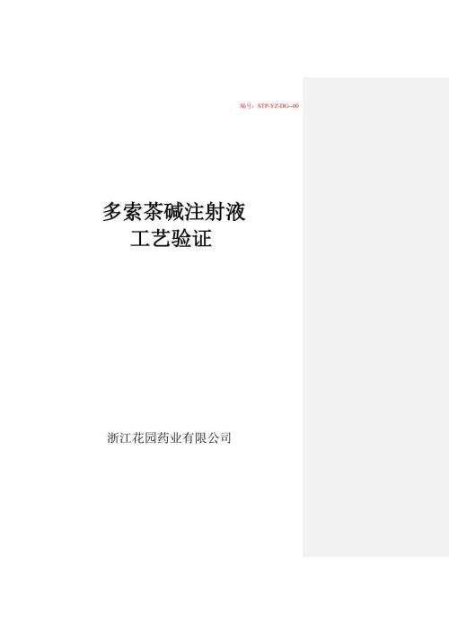 多索茶碱注射液工艺验证.doc