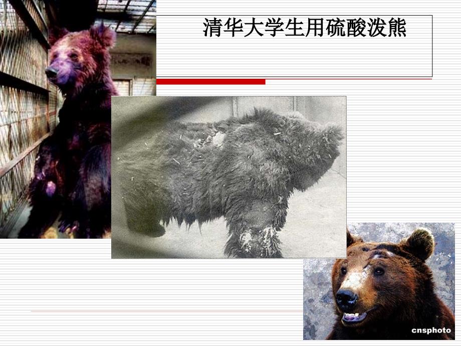 人格是最高的学位PPT课件.ppt_第3页