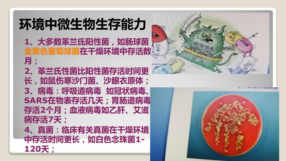 医疗机构环境表面清洁与消毒管理规范PPT课件.pptx_第3页