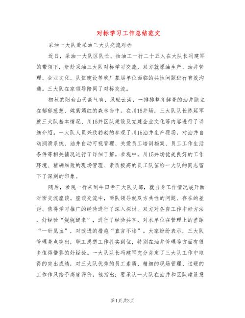 对标学习工作总结范文2篇.doc