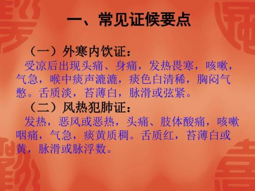 喘病慢性阻塞性肺疾病急性发作期中医护理方案.ppt