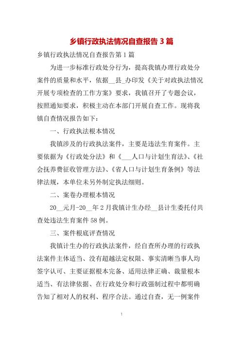 乡镇行政执法情况自查报告3篇.docx