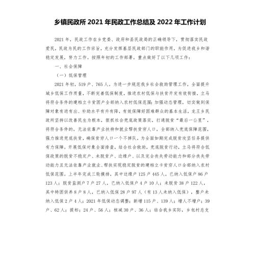 乡镇民政所2021年民政工作总结及2022年工作计划.docx