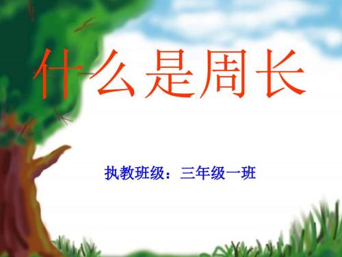什么是周长PPT课件3.ppt