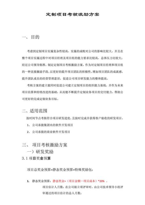 定制项目考核激励方案.doc