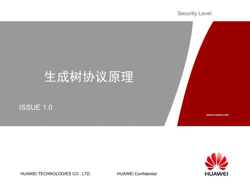 华为公司的生成树协议培训.ppt