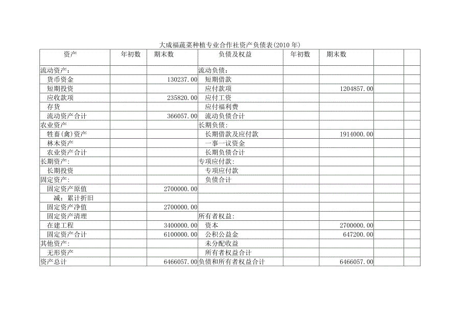 大成福蔬菜种植专业合作社资产负债表.doc_第1页