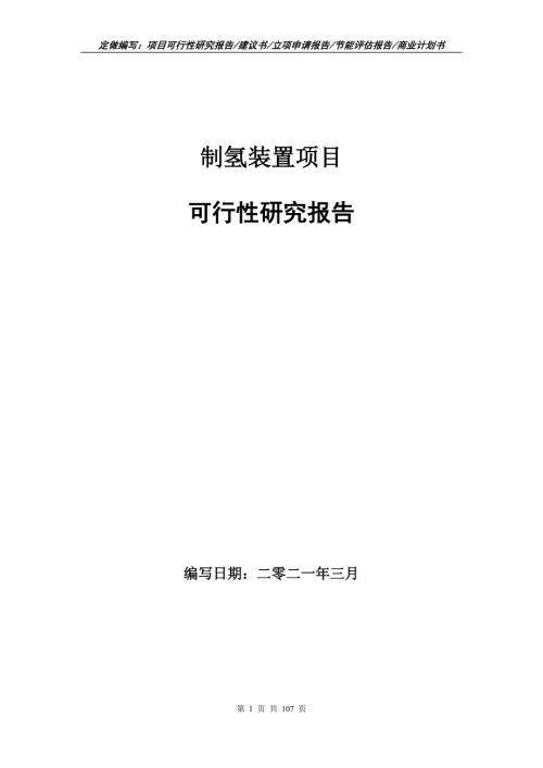 制氢装置项目可行性研究报告立项申请.doc