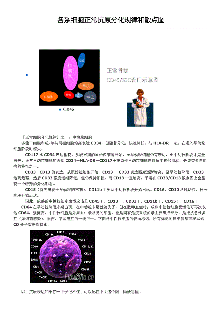 各系细胞正常抗原分化规律和散点图.docx_第1页