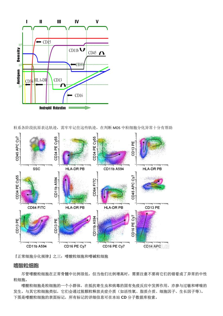 各系细胞正常抗原分化规律和散点图.docx_第3页
